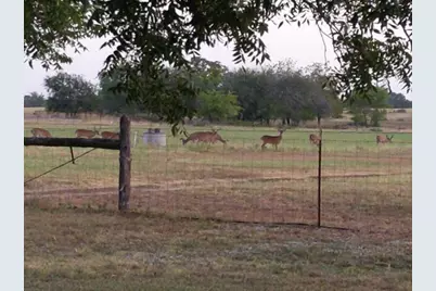 10905 S. Fm 1915 Fm 1915 Highway, Buckholts, TX 76518 - Photo 1