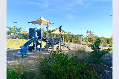 1509 Shelby Lane, Georgetown, TX 78628 - Photo 29