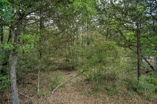 125 Turkey Trot Rd, Smithville, TX 78957 - Photo 25