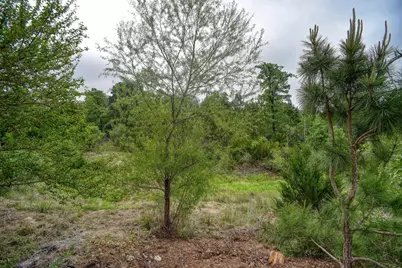 125 Turkey Trot Road, Smithville, TX 78957 - Photo 23