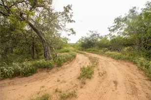 437 Firefly Fld Ln, Seguin, TX 78155 - Photo 5