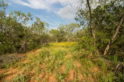 437 Firefly Field Lane, Seguin, TX 78155 - Photo 7