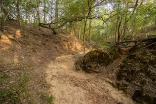 437 Firefly Fld Ln, Seguin, TX 78155 - Photo 13