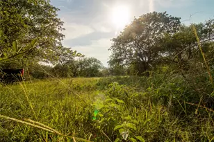 437 Firefly Fld Ln, Seguin, TX 78155 - Photo 3