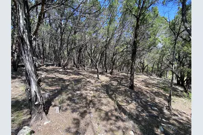 19201 W Reed Parks Road, Jonestown, TX 78645 - Photo 7