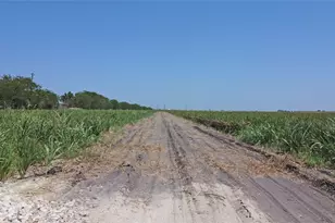 0 Cordova Rd, Seguin, TX 78155 - Photo 5