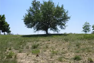 113 Quail Point, Spicewood, TX 78669 - Photo 7