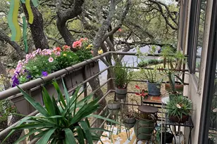 6810 Deatonhill Dr, Austin, TX 78745 - Photo 23