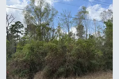 Lot 233 Makaha Drive, Bastrop, TX 78602 - Photo 3