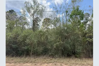 Lot 233 Makaha Drive, Bastrop, TX 78602 - Photo 7