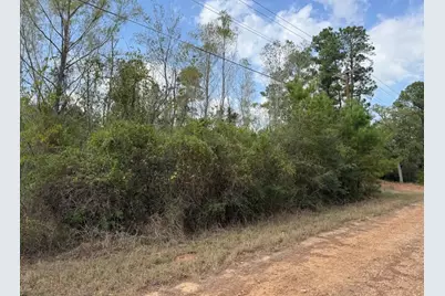 Lot 233 Makaha Drive, Bastrop, TX 78602 - Photo 15