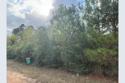 Lot 233 Makaha Drive, Bastrop, TX 78602 - Photo 13