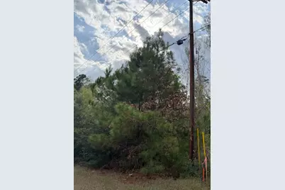 Lot 233 Makaha Drive, Bastrop, TX 78602 - Photo 17