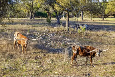 3516 Mount Sharp Road #2, Wimberley, TX 78676 - Photo 29