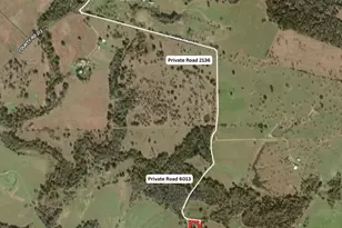 1448 Private Road 6013, Giddings, TX 78942 - Photo 19