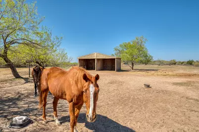 154 Three Oaks Lane, Bastrop, TX 78602 - Photo 33
