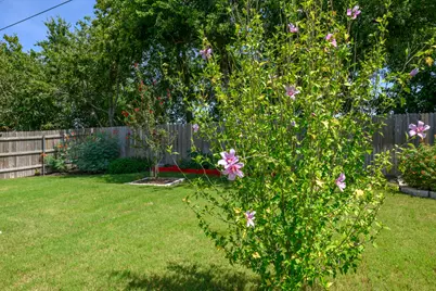 18344 Willow Sage Lane, Elgin, TX 78621 - Photo 33
