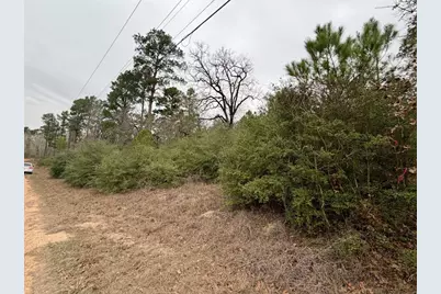 0000 Makaha Drive, Bastrop, TX 78602 - Photo 5