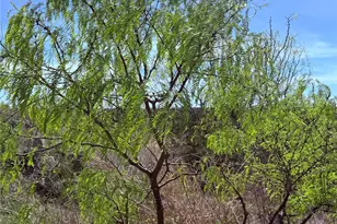 198 Cherry Laurel Ln, Lampasas, TX 76550 - Photo 5