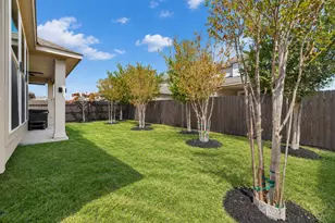 4317 Chapel Hl St, Round Rock, TX 78665 - Photo 29