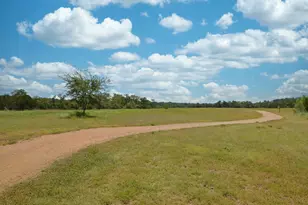 126 Medina Hills Ct, Austin, TX 78737 - Photo 39