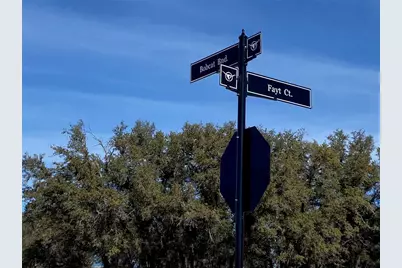 Tbd Fayt Court, Georgetown, TX 78628 - Photo 1