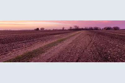 1501 County Road 132, Hutto, TX 78634 - Photo 9