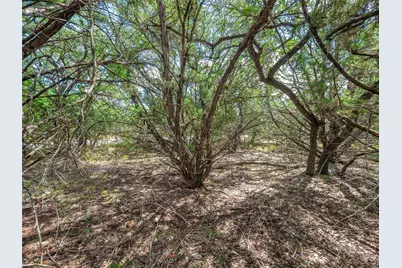 6206 La Mesa Street, Lago Vista, TX 78645 - Photo 7
