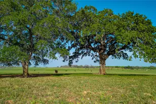 Tbd County Road 404, Floresville, TX 78114 - Photo 1