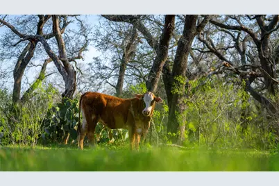 Tbd County Road 404, Floresville, TX 78114 - Photo 17