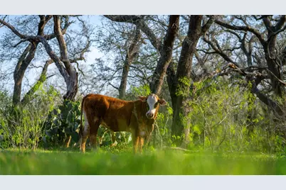 Tbd County Road 404, Floresville, TX 78114 - Photo 17