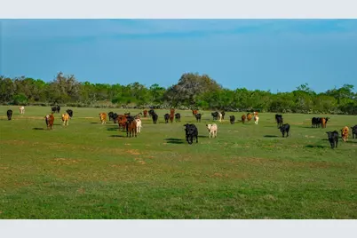 Tbd County Road 404, Floresville, TX 78114 - Photo 23