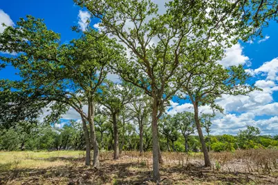 6477 S 783 Ranch, Harper, TX 78631 - Photo 13