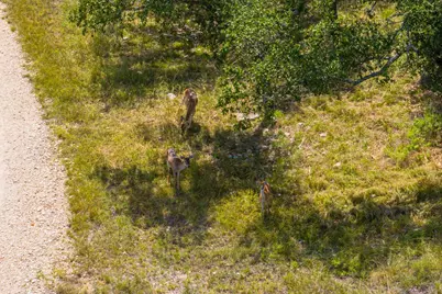 6477 S 783 Ranch, Harper, TX 78631 - Photo 5