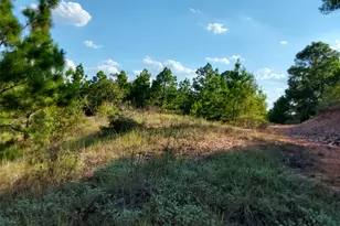 909 Hana Ct St, Bastrop, TX 78602 - Photo 1