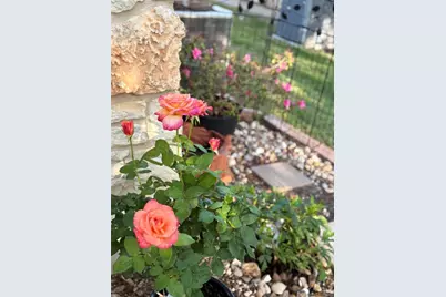 33 Oaks Place, Lago Vista, TX 78645 - Photo 35