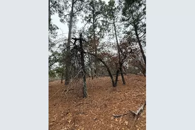 105 Waialua Court, Bastrop, TX 78602 - Photo 1