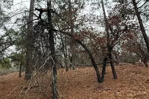 105 Waialua Ct, Bastrop, TX 78602 - Photo 1