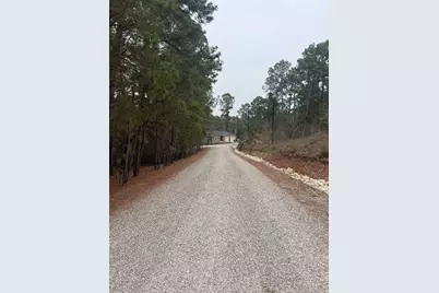 105 Waialua Court, Bastrop, TX 78602 - Photo 3