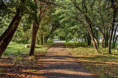 501 Flamingo Boulevard, Lakeway, TX 78734 - Photo 31