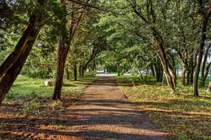 501 Flamingo Blvd, Lakeway, TX 78734 - Photo 31