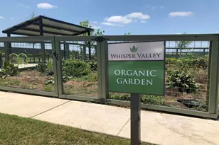 9709 Gladsome Path, Manor, TX 78653 - Photo 15