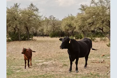 600 County Road 257, Liberty Hill, TX 78642 - Photo 39