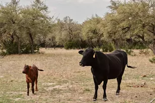 600 Co Rd 257, Liberty Hill, TX 78642 - Photo 39