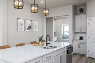 167 Victoria Peak Loop, Dripping Springs, TX 78620 - Photo 19