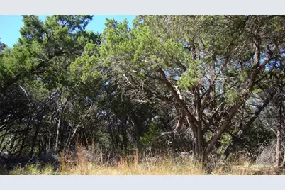 20804 Bonanza Street, Lago Vista, TX 78645 - Photo 5