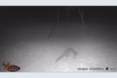 4025 County Road 284 #46X, Harwood, TX 78632 - Photo 7