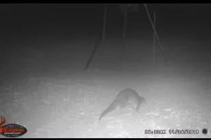 4025 Co Rd 284, Harwood, TX 78632 - Photo 7