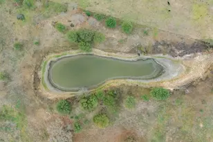 4025 Co Rd 284, Harwood, TX 78632 - Photo 37