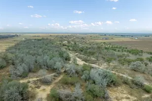 4025 Co Rd 284, Harwood, TX 78632 - Photo 5